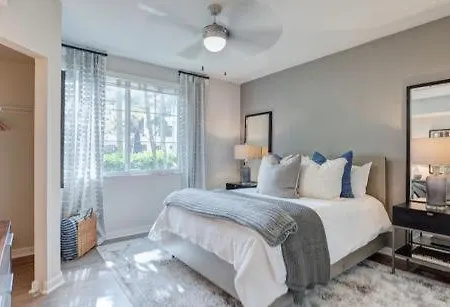 Comfort In Hollywood